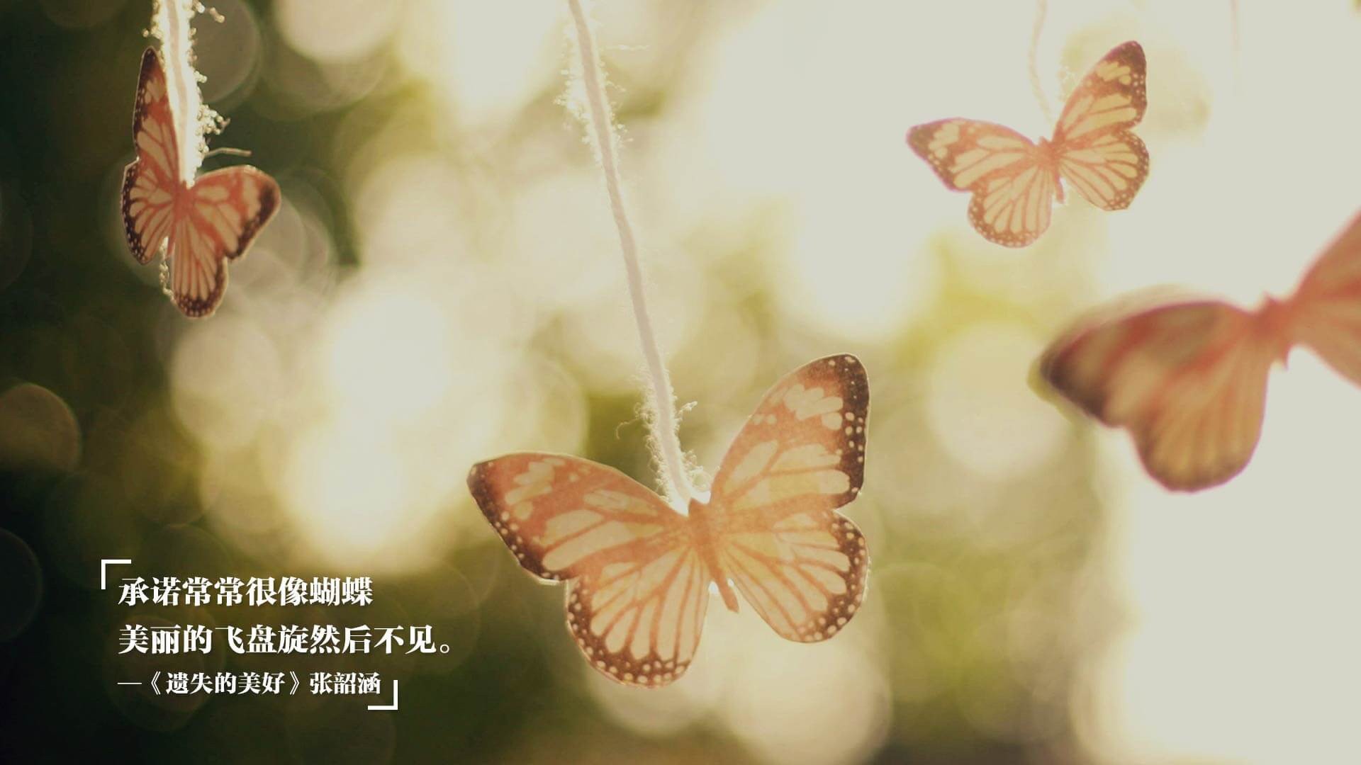 世纪解法,当福克斯撕裂防守,老鹰振翅焚毁热火铁索连舟