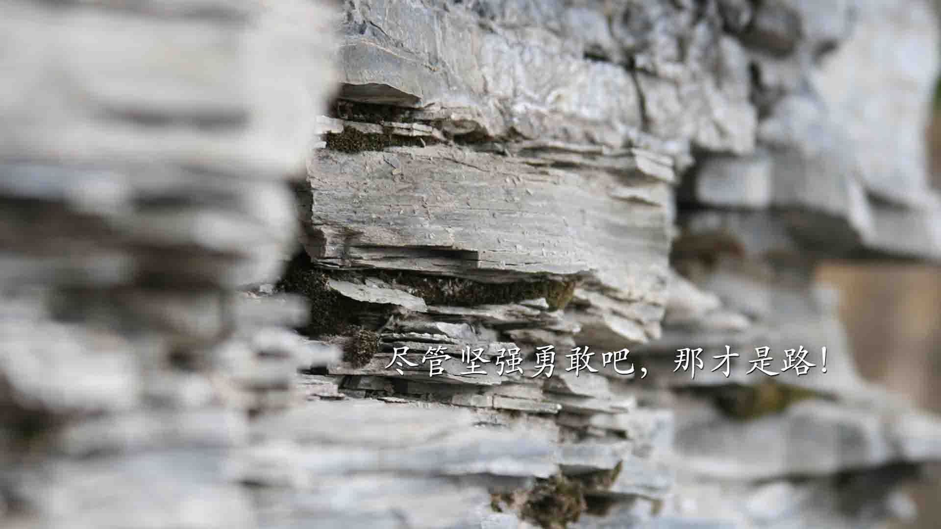 速度与梦想，F1新赛季揭幕战之夜，三笘薰在英超赛场证明自己