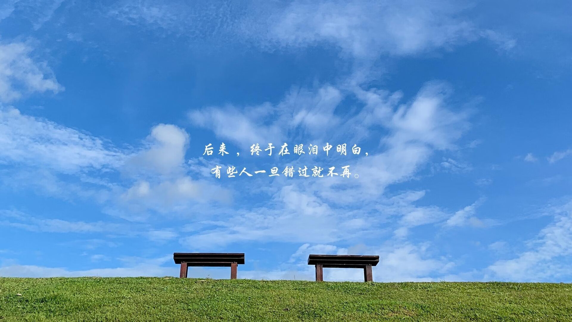 开云平台-双面战场上的唯一解，当亚特兰大的反叛精神遇上巴西的艺术足球，帕尔默用巨星价值定义不可复制