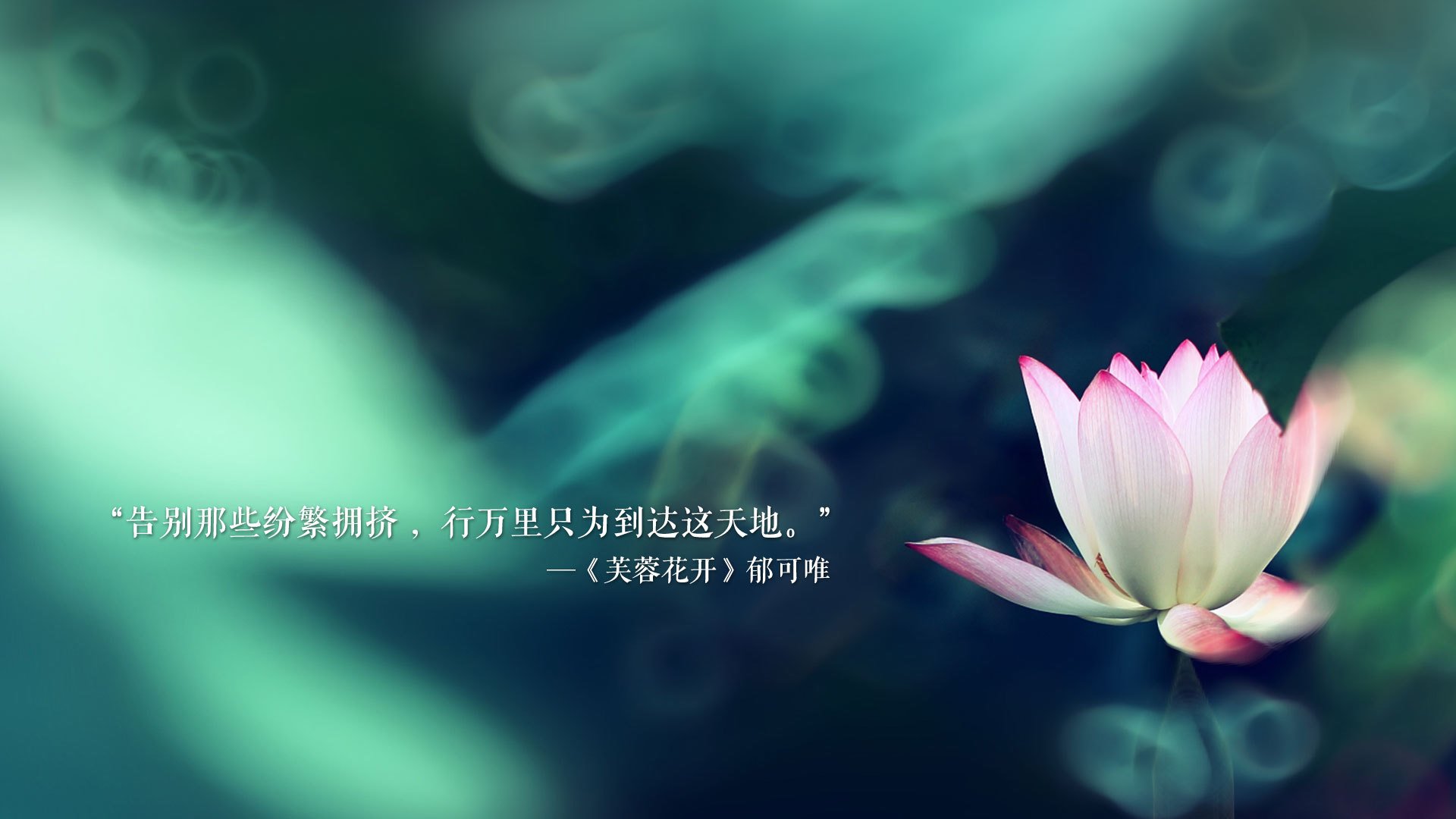 火与冰的狂想,杰伦格林单骑闯关,波特兰铁幕锁死辽宁王朝
