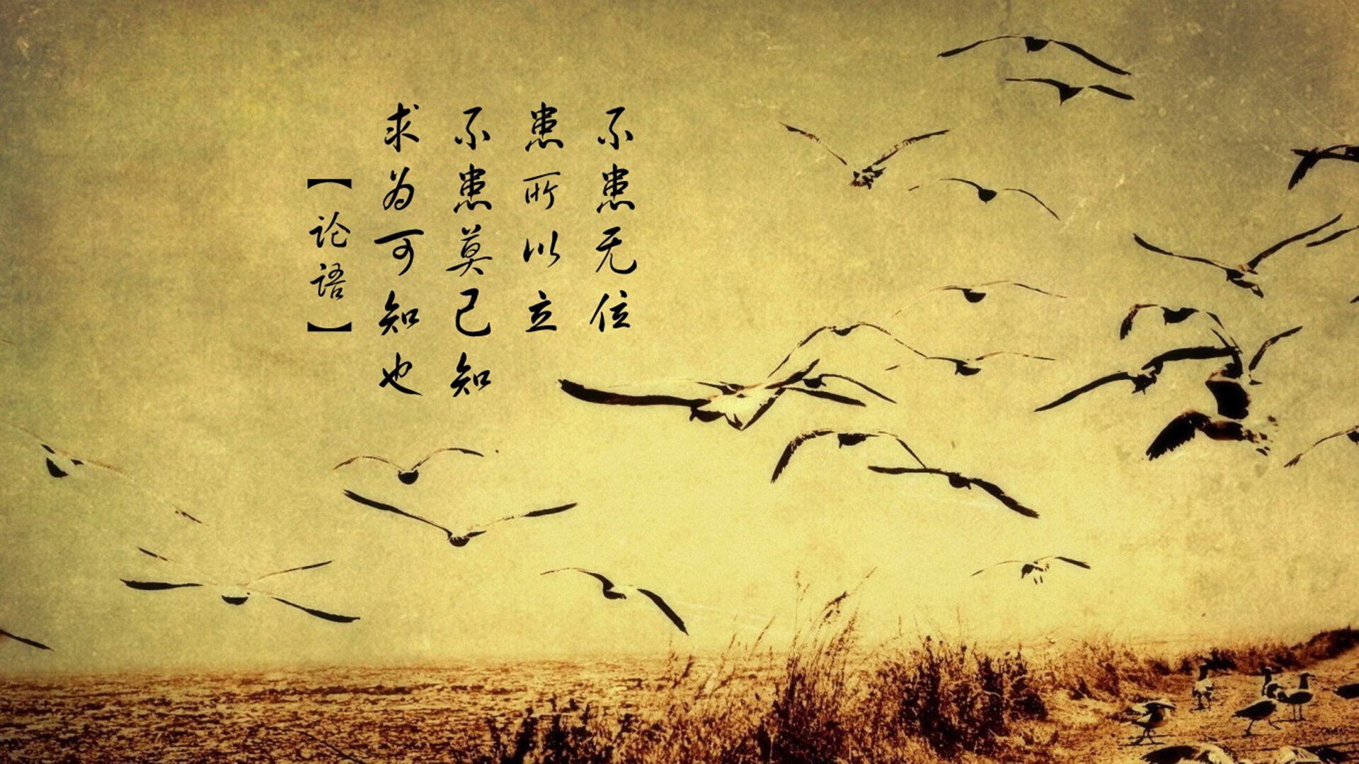 开云sport-（扩展思维）